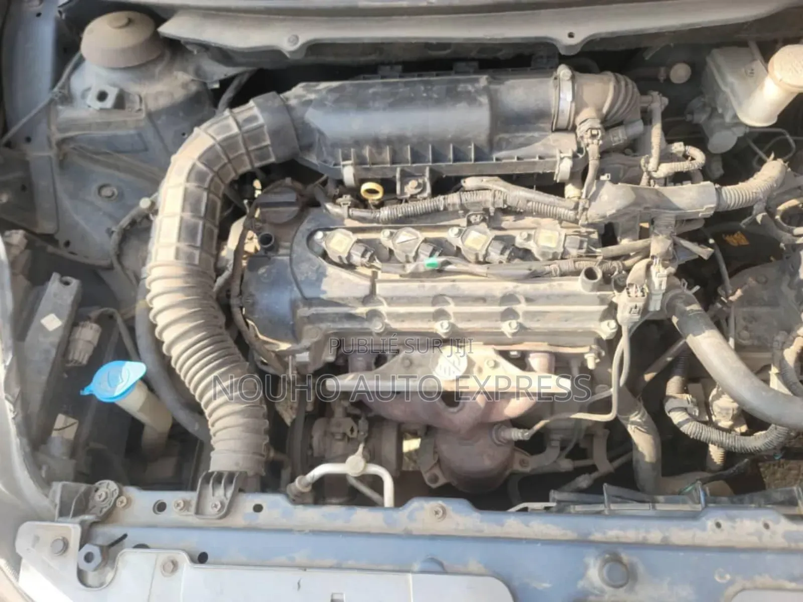 Toyota Starlet 2022 Gris