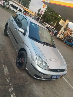 Ford Focus 2004 Gris