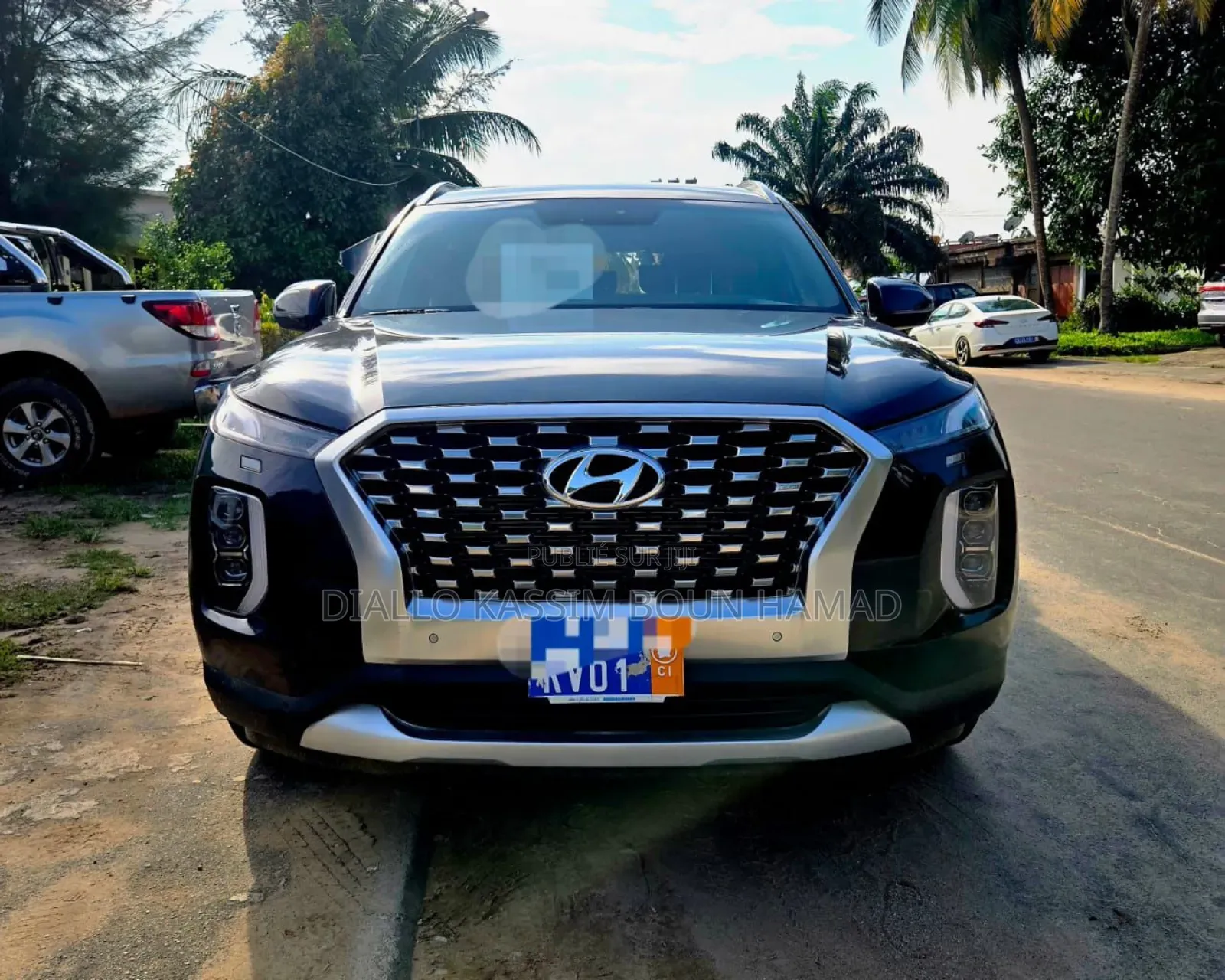 Hyundai Palissade 2022 Blue