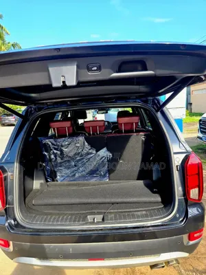 Hyundai Palissade 2022 Blue