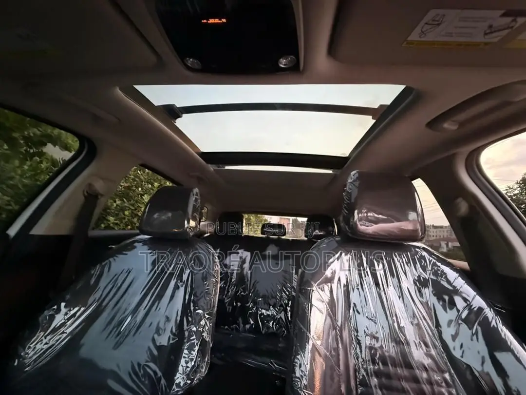 New Kia Sportage X-Pro 2024 Blanc