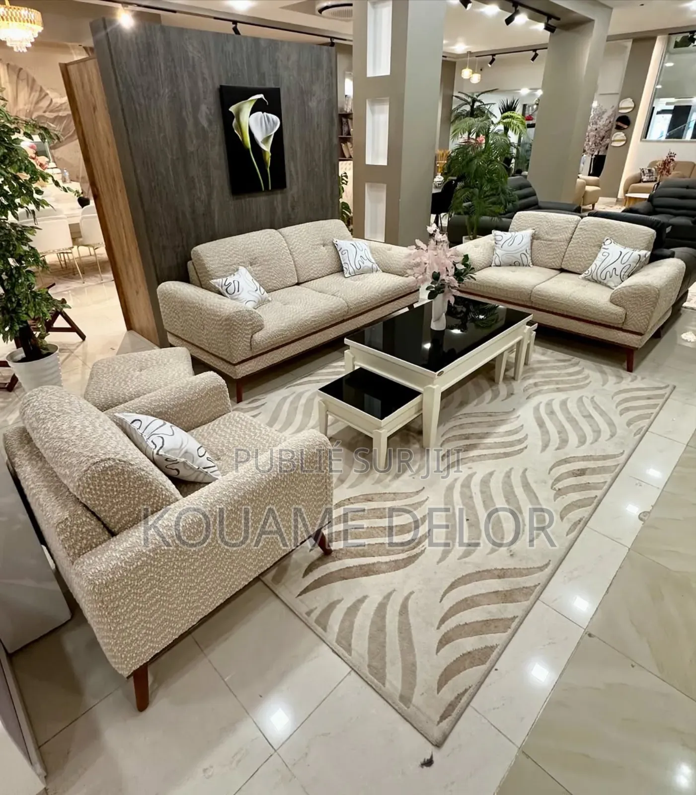 Meuble De Salon Intérieur Neuf