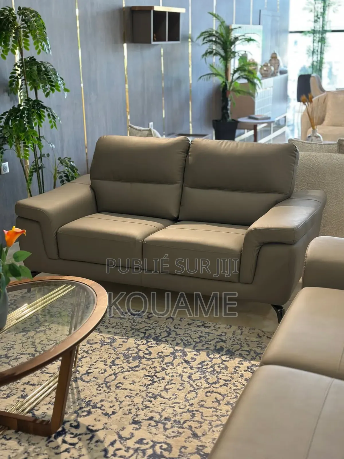 Salon d'Intérieur Complet Neuf