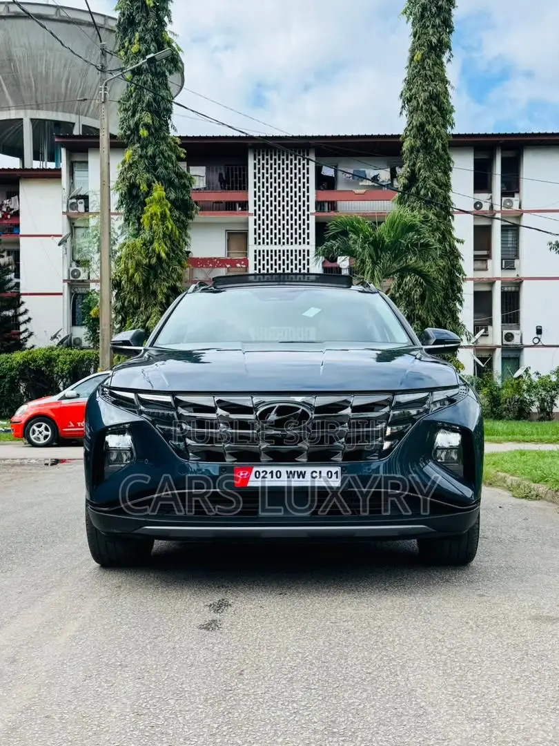 Hyundai Tucson Limited 2023 Blue