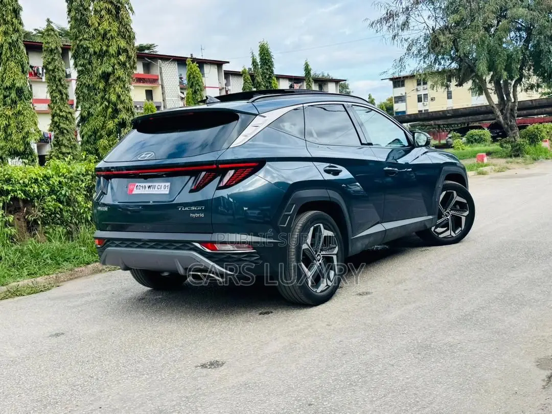Hyundai Tucson Limited 2023 Blue