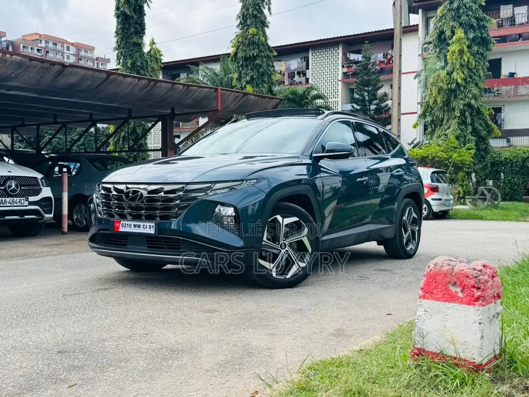 Hyundai Tucson Limited 2023 Blue