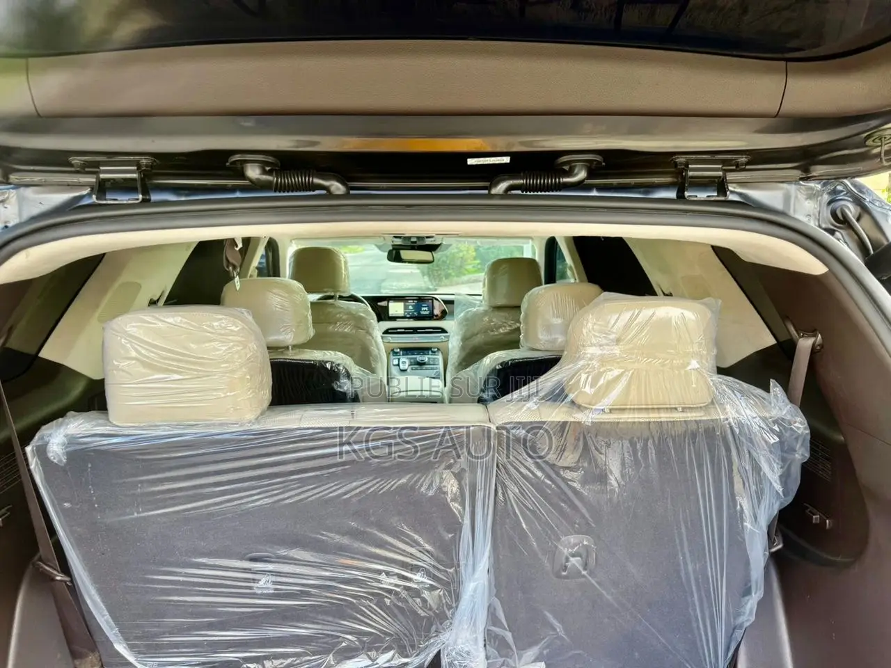 Hyundai Palissade Calligraphy 2021 Noir Mat