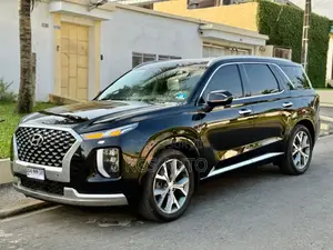 Hyundai Palissade Calligraphy 2021 Noir Mat