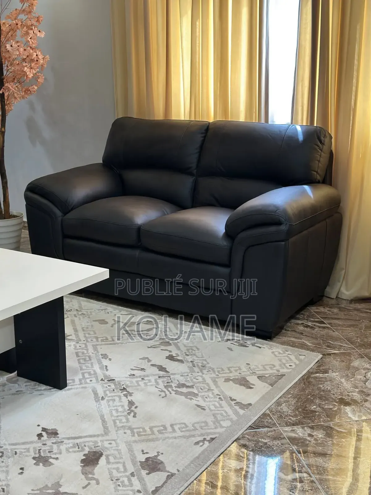 Salon d'Intérieur en Cuir Neuf