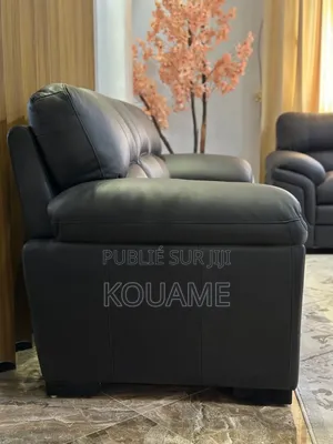 Salon d'Intérieur en Cuir Neuf