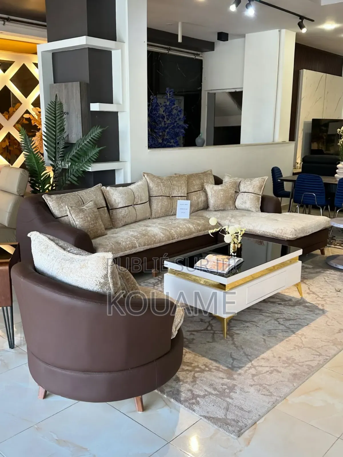 Salon Complet Neuf Disponible