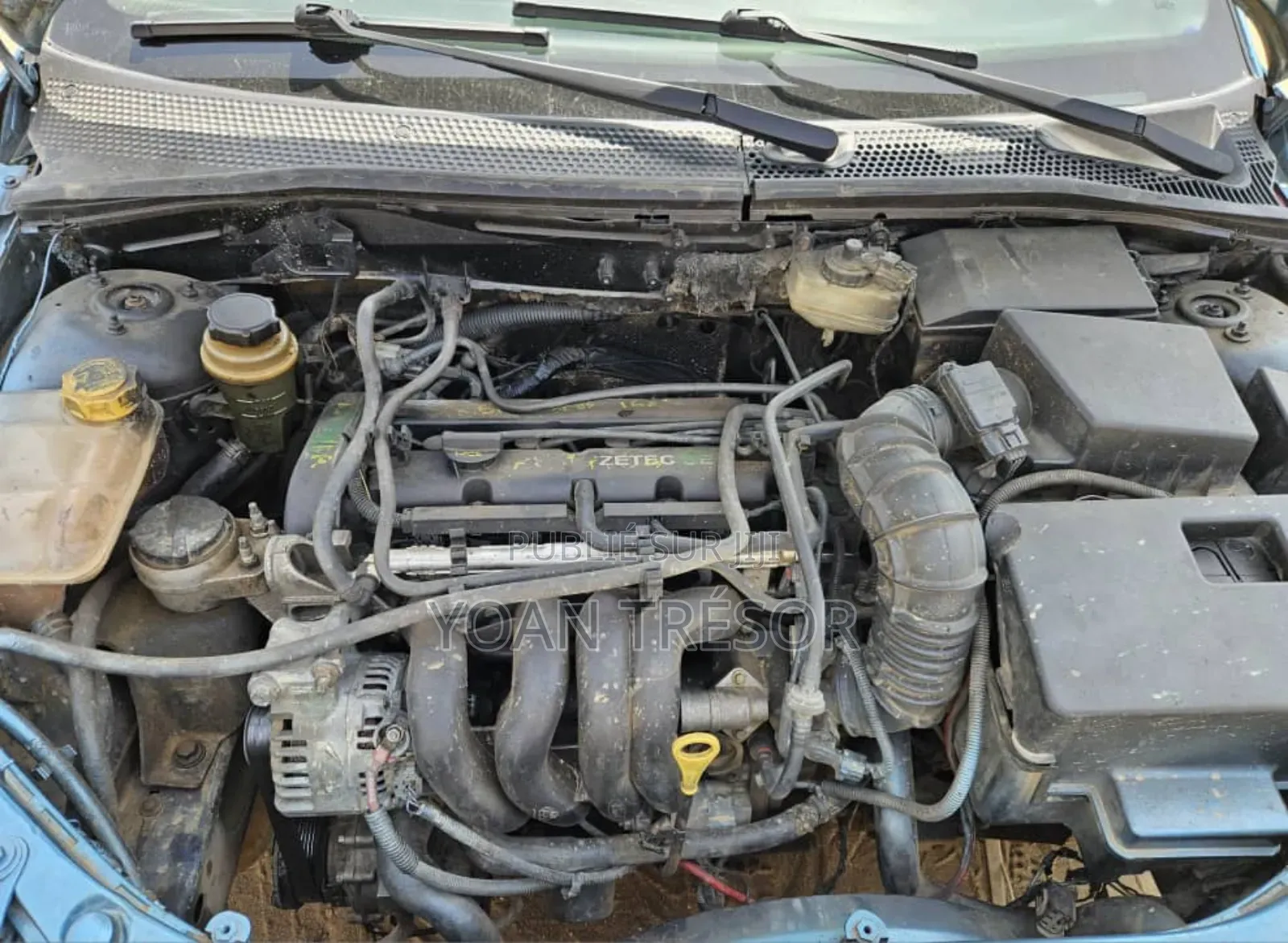 Ford Focus 2002 Beige