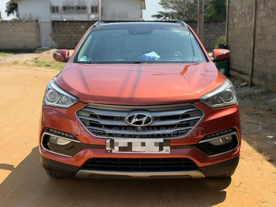 Hyundai Santa Fe 2018 Rose