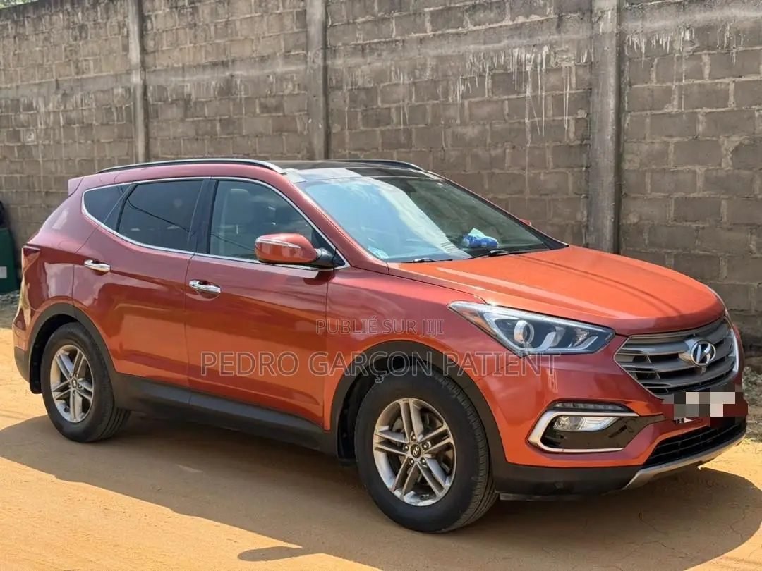 Hyundai Santa Fe 2018 Rose