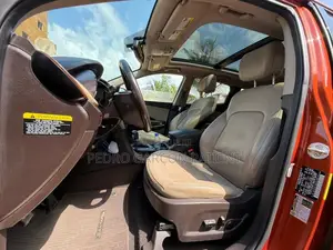 Hyundai Santa Fe 2018 Rose