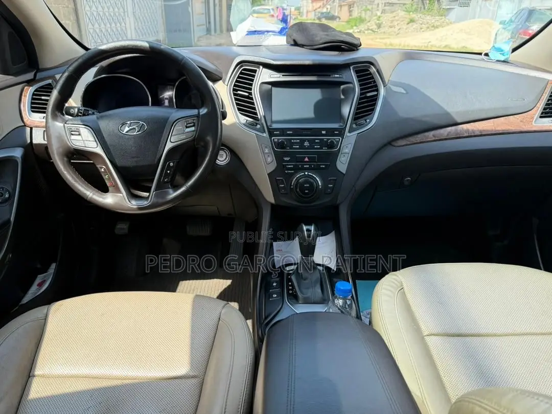 Hyundai Santa Fe 2018 Rose