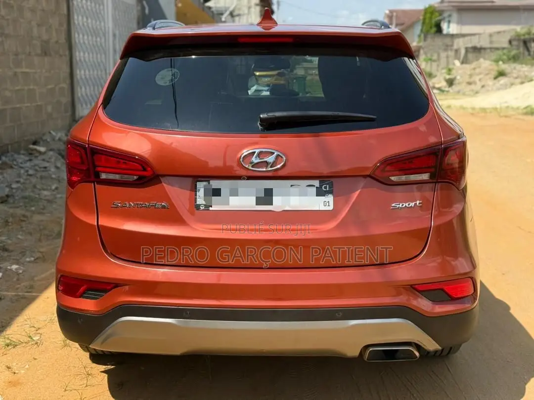 Hyundai Santa Fe 2018 Rose
