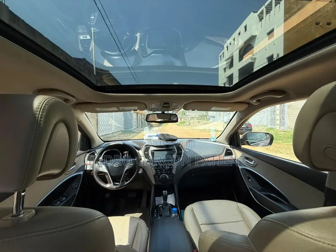 Hyundai Santa Fe 2018 Rose