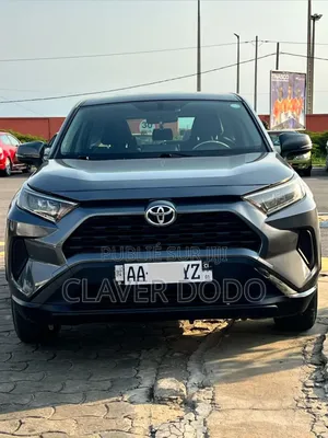 Toyota RAV4 2022 Gris