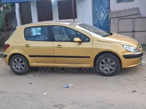 Peugeot 307 2018 Argenté