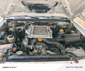 Nissan 100 2019 Blanc