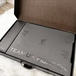 Neuf Ordinateur Portable Gigabyte AORUS 17X 64GB Intel Core I9 SSD 2T