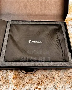 Nouveau Gigabyte AORUS 17X 64GB Intel Core i9 SSD 2T