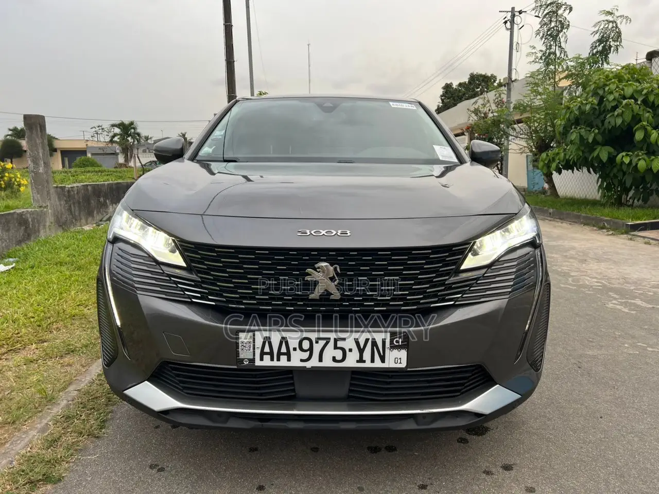 Peugeot 3008 2021 Gris