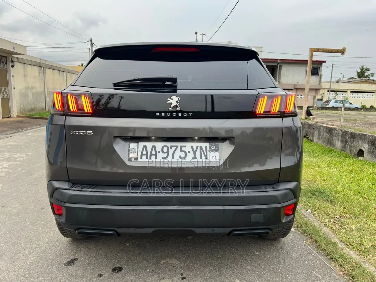 Peugeot 3008 2021 Gris