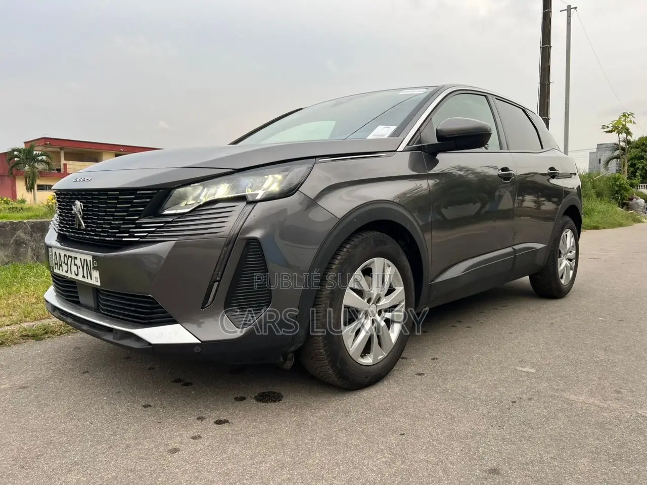 Peugeot 3008 2021 Gris