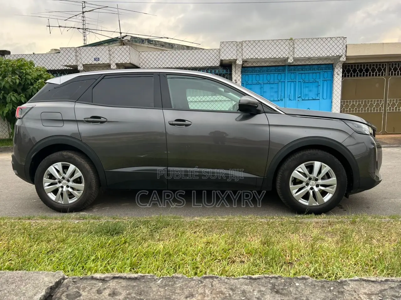 Peugeot 3008 2021 Gris