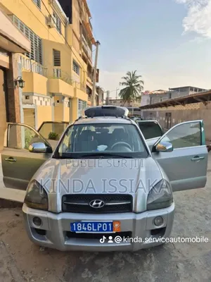 Hyundai Tucson 2006 Gris