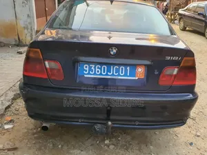 BMW 3 Series 316i RWD 2003 Blue