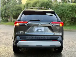 Toyota RAV4 XLE AWD 2020 Gris