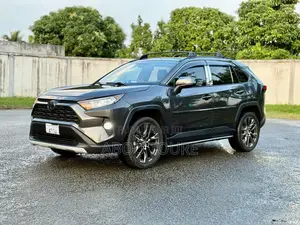 Toyota RAV4 XLE AWD 2020 Gris