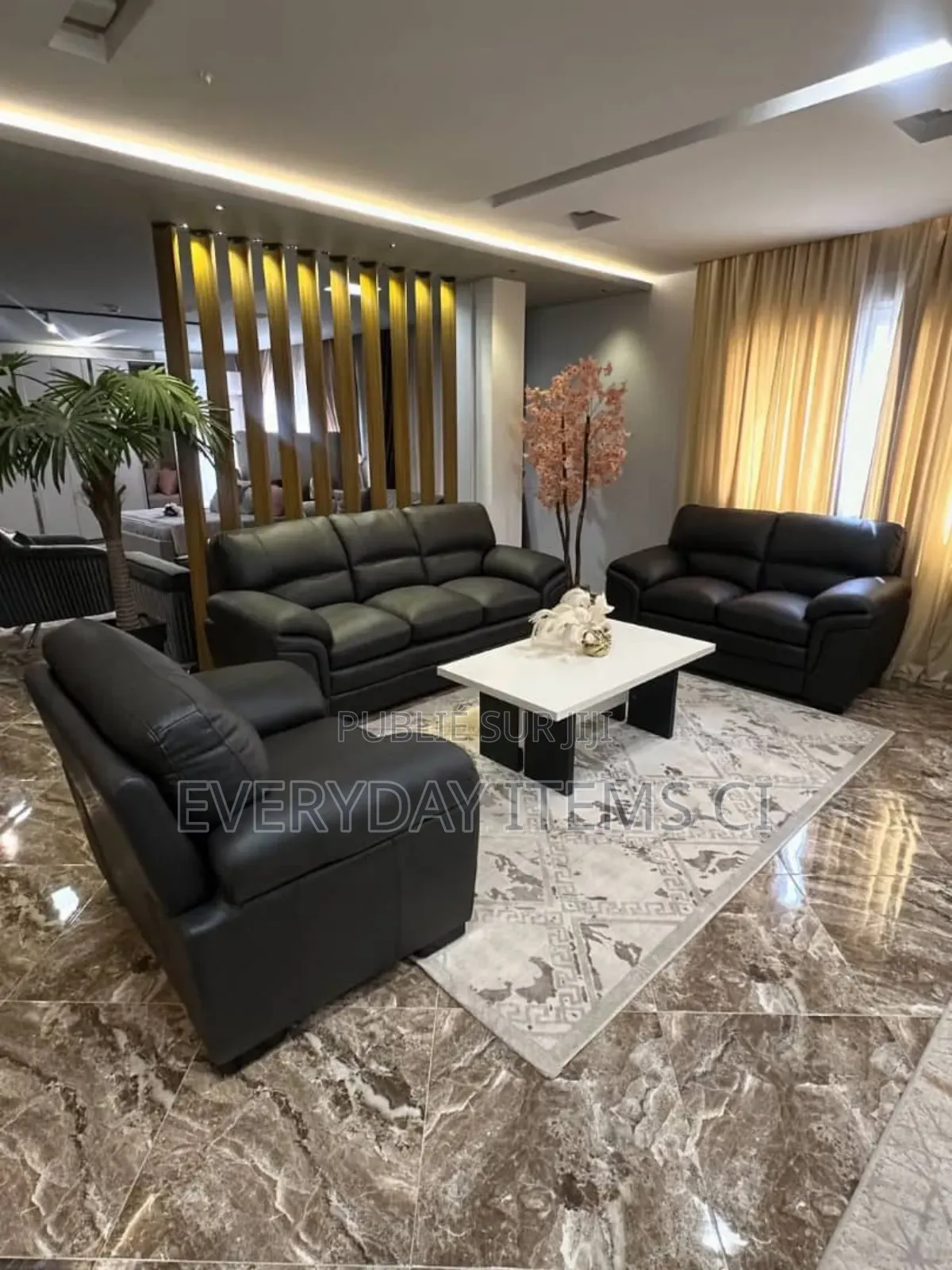 Salon d'Intérieur Complet