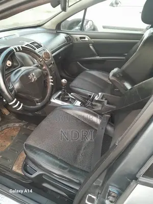 Peugeot 407 2018 Gris