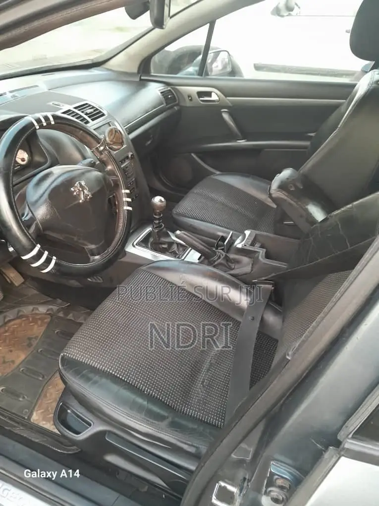 Peugeot 407 2018 Gris