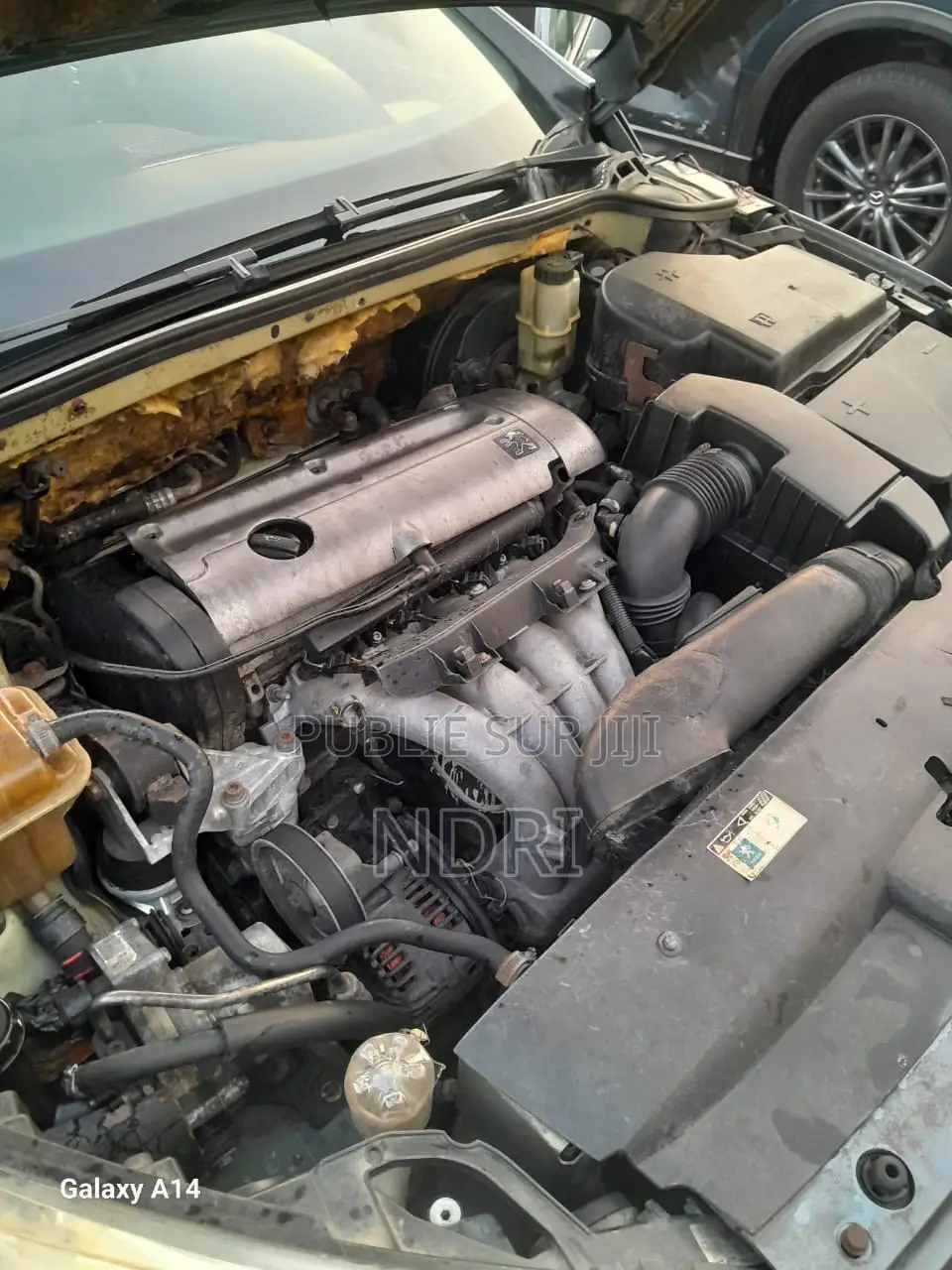 Peugeot 407 2018 Gris