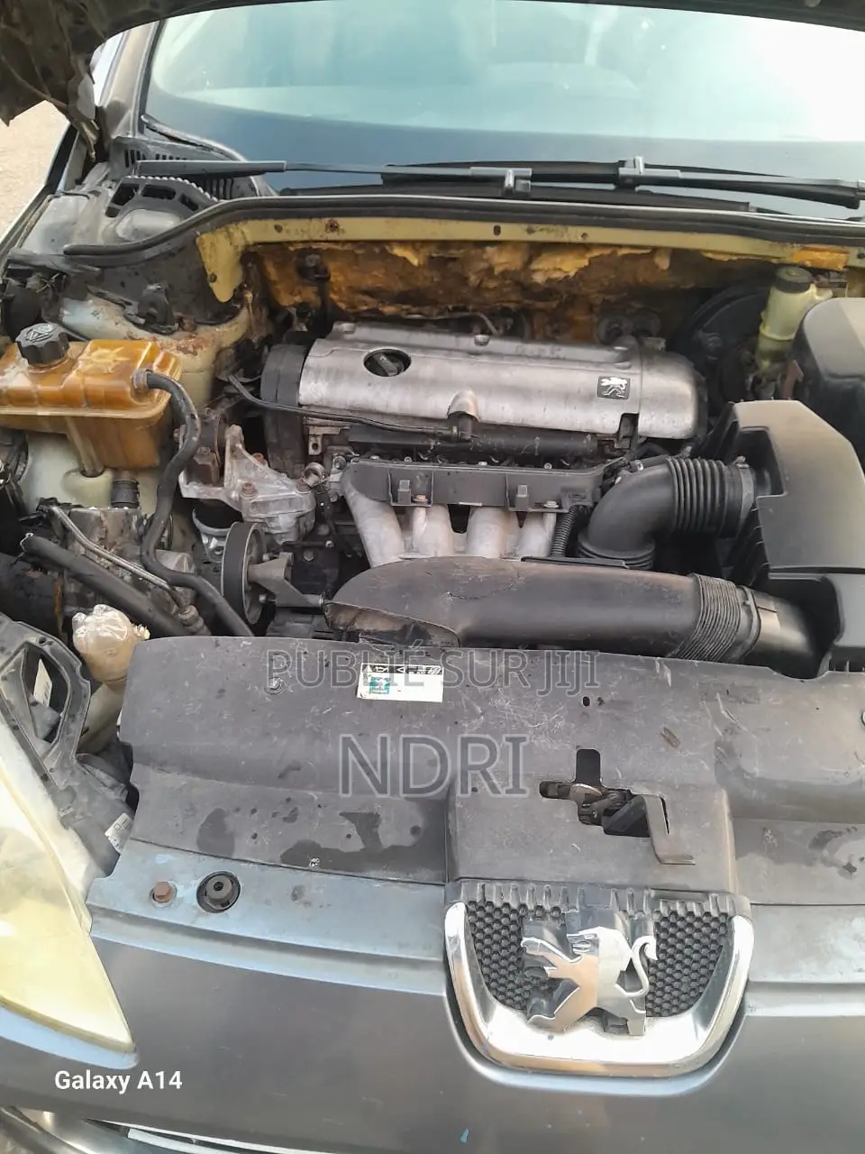 Peugeot 407 2018 Gris