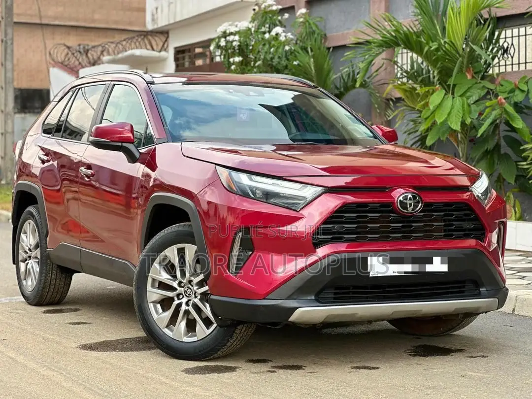 Toyota RAV4 Limited FWD 2024 Rouge