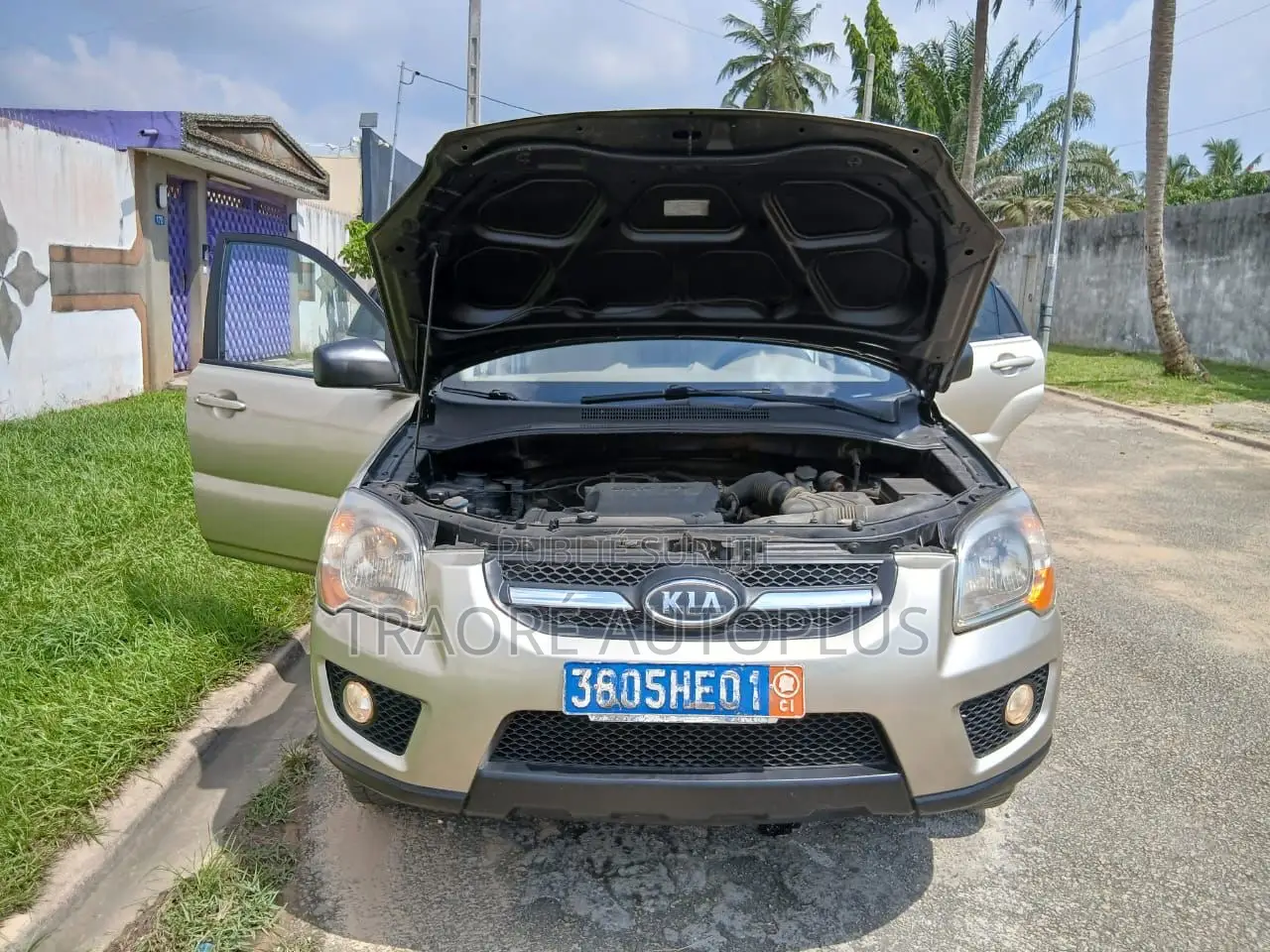 Kia Sportage 2.0 LX 2007 Gris