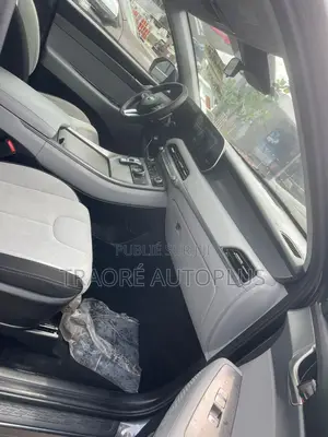 Hyundai Palissade 2020 Blue