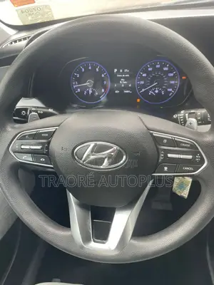 Hyundai Palissade 2020 Blue