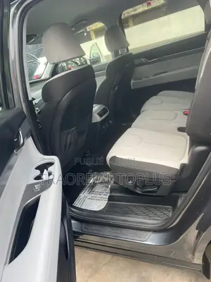 Hyundai Palissade 2020 Blue