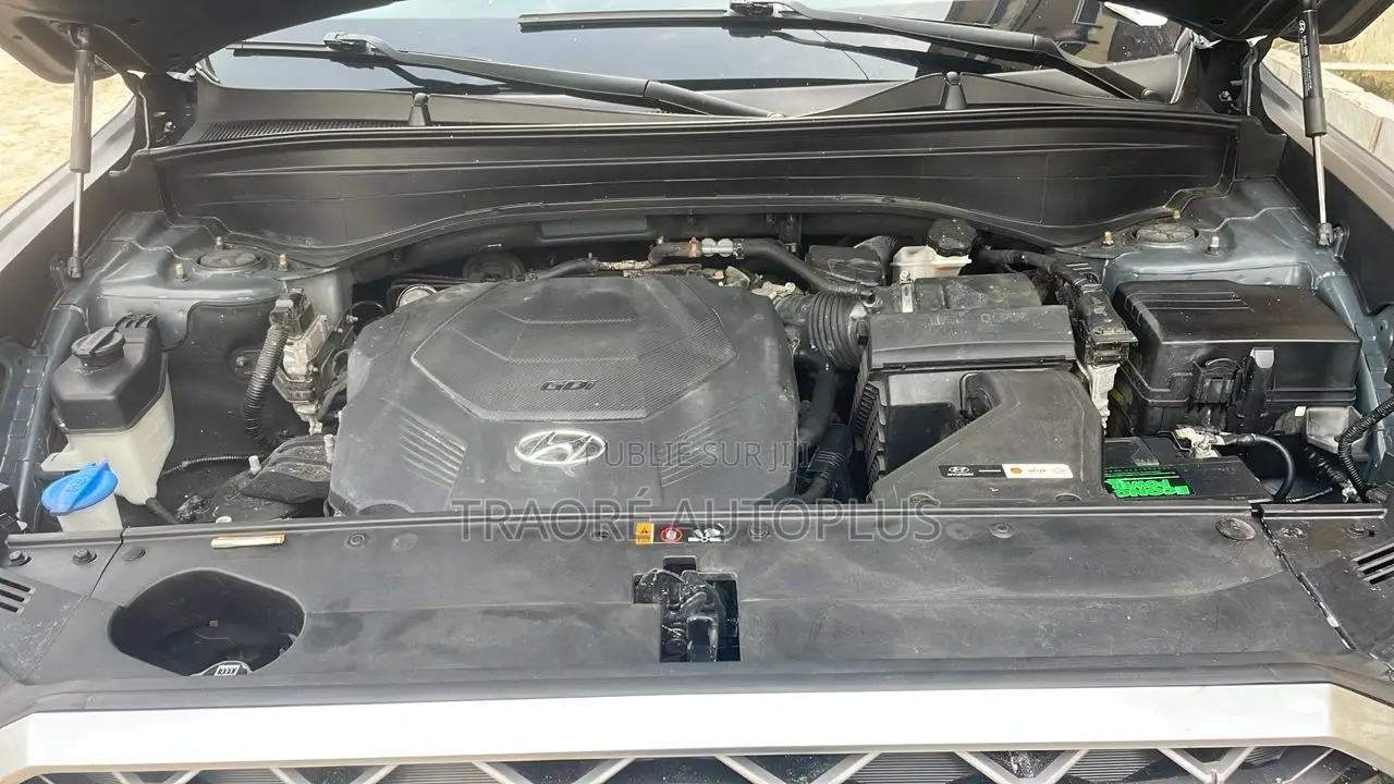 Hyundai Palissade 2020 Blue