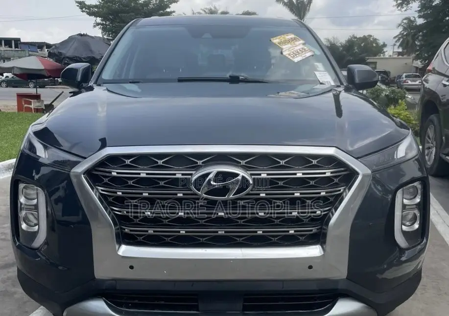 Hyundai Palissade 2020 Blue