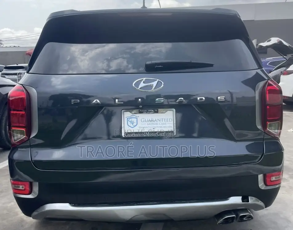 Hyundai Palissade 2020 Blue