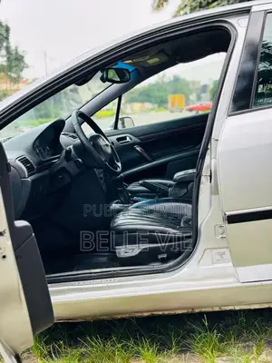 Peugeot 407 2005 Gris