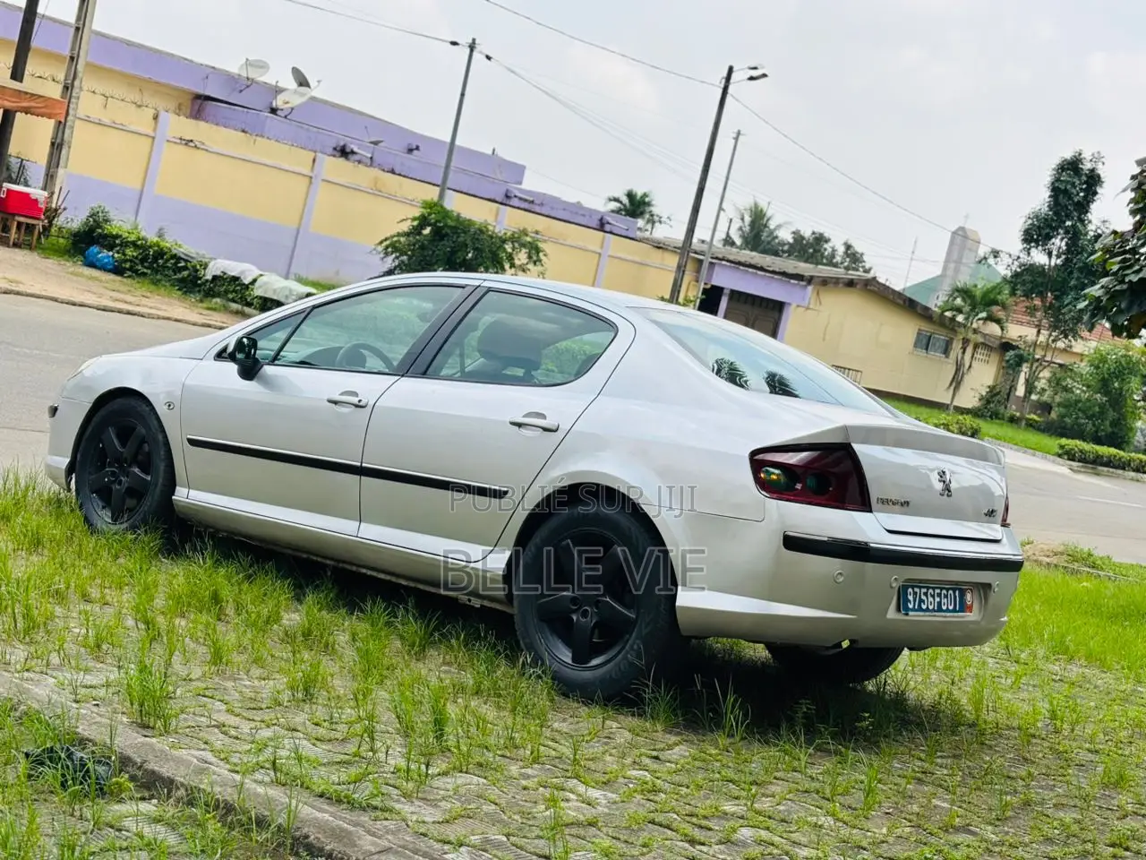 Peugeot 407 2005 Gris